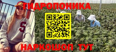 крисы Свободный